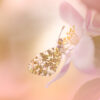 Workshop Soft Focus, Combi alles over bokeh en soft focus