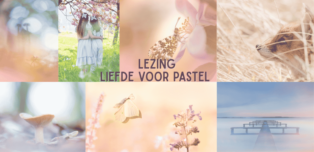 Lezing Liefde voor pastel voor cameranu door in2pictures fotoschool