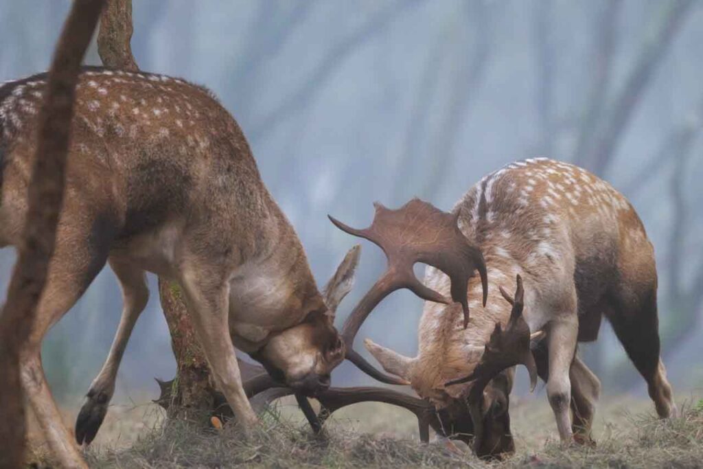 ISO in fotografie uitgelegd in2pictures fotoschool