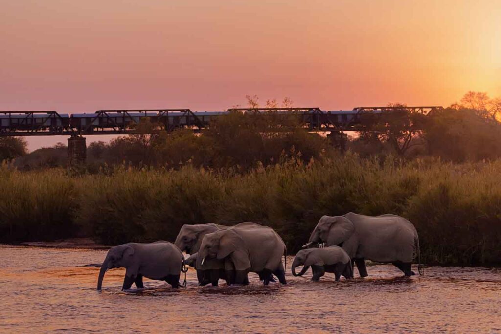 ISO in fotografie uitgelegd in2pictures fotoschool