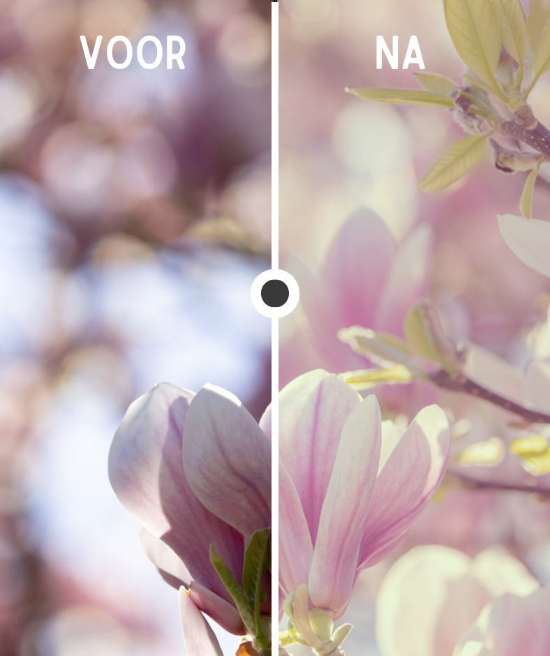 dreamy light action, handeling voor adobe photoshop van in2pictures fotoschool